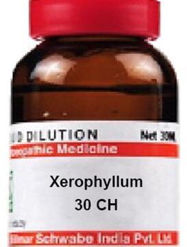 Dr Willmar Schwabe India Xerophyllum Dilution 30 CH