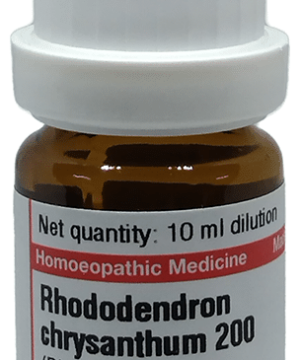 Dr Willmar Schwabe Germany Rhododendron Chrysanthum Dilution 200