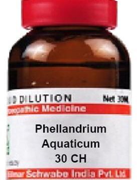 Dr Willmar Schwabe India Phellandrium Aquaticum Dilution 30 CH