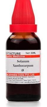 Dr Willmar Schwabe India Solanum Xanthocarpum Mother Tincture Q