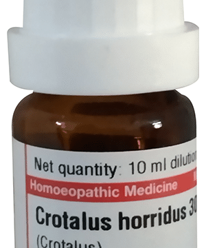 Dr Willmar Schwabe Germany Crotalus Horridus Dilution 30