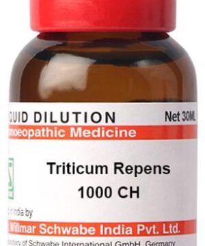 Dr Willmar Schwabe India Triticum Repens Dilution 1000 CH