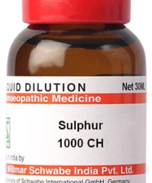 Dr Willmar Schwabe India Sulphur Dilution 1000 CH