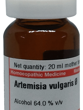 Dr Willmar Schwabe Germany Artemisia Vulgaris Mother Tincture Q