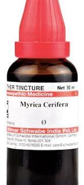 Dr Willmar Schwabe India Myrica Cerifera Mother Tincture Q