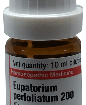 Dr Willmar Schwabe Germany Eupatorium Perfoliatum Dilution 200