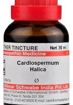 Dr Willmar Schwabe India Cardiospermum Halica Mother Tincture Q