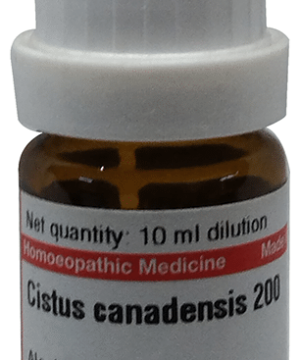 Dr Willmar Schwabe Germany Cistus Canadensis Dilution 200