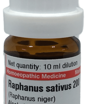 Dr Willmar Schwabe Germany Raphanus Sativus (Raphanus Niger) Dilution 200
