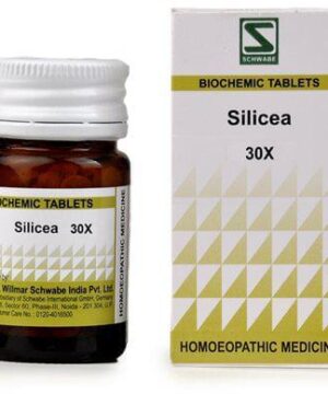 Dr Willmar Schwabe India Silicea Biochemic Tablet 30X