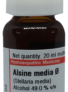 Dr Willmar Schwabe Germany Alsine Media (Stellaria Media) Mother Tincture Q