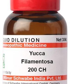 Dr Willmar Schwabe India Yucca Filamentosa Dilution 200 CH