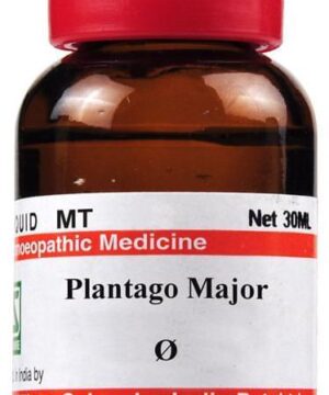 Dr Willmar Schwabe India Plantago Major Mother Tincture Q