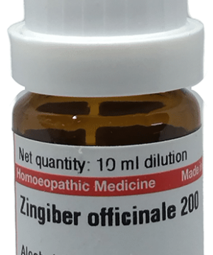 Dr Willmar Schwabe Germany Zingiber Officinale Dilution 200