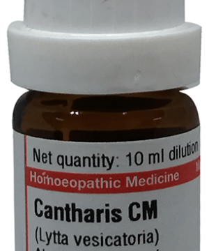 Dr Willmar Schwabe Germany Cantharis Dilution CM