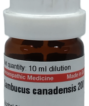 Dr Willmar Schwabe Germany Sambucus Canadensis Dilution 200