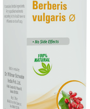 Dr Willmar Schwabe India Berberis Vulgaris Mother Tincture Q