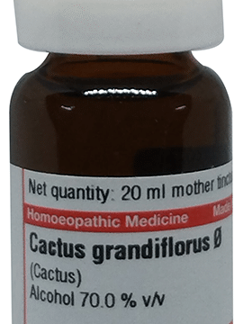 Dr Willmar Schwabe Germany Cactus Grandiflorus Mother Tincture Q