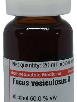 Dr Willmar Schwabe Germany Focus Vesiculosus Dilution Q