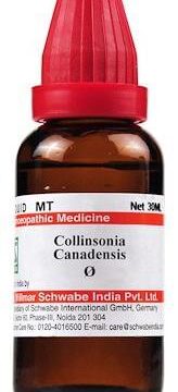Dr Willmar Schwabe India Collinsonia Canadensis Mother Tincture Q