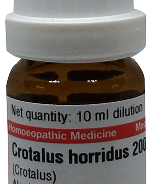 Dr Willmar Schwabe Germany Crotalus Horridus Dilution 200
