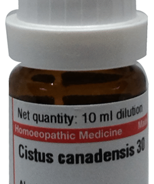 Dr Willmar Schwabe Germany Cistus Canadensis Dilution 30