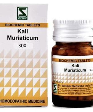 Dr Willmar Schwabe India Kali Muriaticum Biochemic Tablet 30X