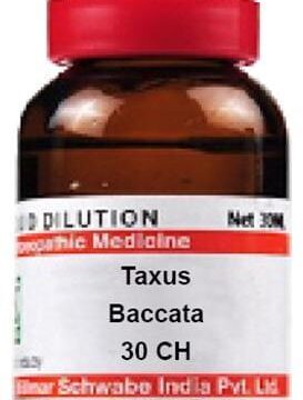 Dr Willmar Schwabe India Taxus Baccata Dilution 30 CH
