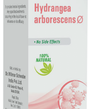 Dr Willmar Schwabe India Hydrangea Arborescens Mother Tincture Q
