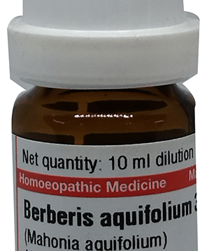 Dr Willmar Schwabe Germany Berberis Aquifolium Dilution 30