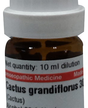 Dr Willmar Schwabe Germany Cactus Grandiflorus Dilution 30