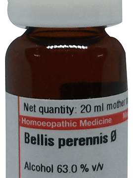 Dr Willmar Schwabe Germany Bellis Perennis Mother Tincture Q