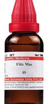 Dr Willmar Schwabe India Filix Mas Mother Tincture Q