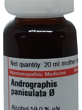Dr Willmar Schwabe Germany Angelica Archangelica (Angelica) Mother Tincture Q