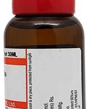 Dr Willmar Schwabe India Cydonia Vulgaris Mother Tincture Q