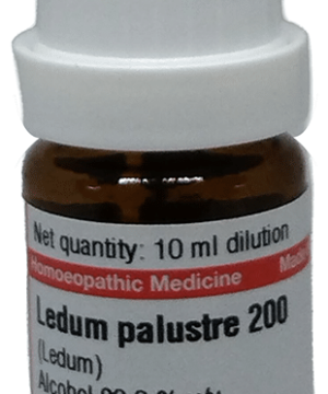 Dr Willmar Schwabe Germany Ledum Palustre Dilution 200