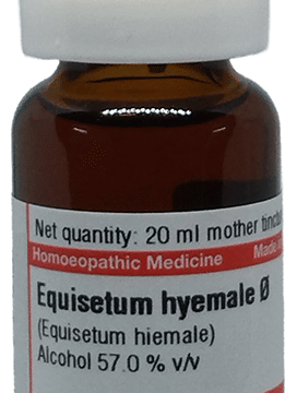 Dr Willmar Schwabe Germany Equisetum Hyemale Mother Tincture Q