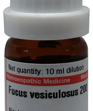 Dr Willmar Schwabe Germany Focus Vesiculosus Dilution 200