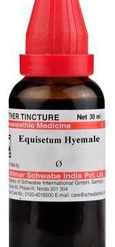 Dr Willmar Schwabe India Equisetum Hyemale Mother Tincture Q
