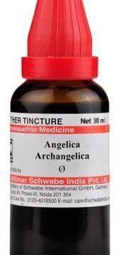 Dr Willmar Schwabe India Angelica Archangelica Mother Tincture Q