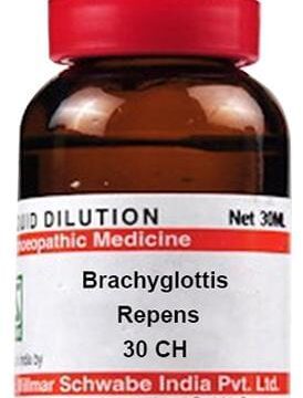 Dr Willmar Schwabe India Brachyglottis Repens Dilution 30 CH