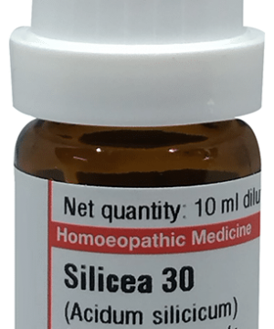 Dr Willmar Schwabe Germany Silicea Dilution 30
