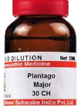 Dr Willmar Schwabe India Plantago Major Dilution 30 CH